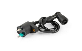 Bobina Accensione qualità originale 2 Pins, universale, connettore 90°