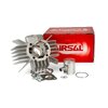 Cilindro 50 Airsal Sport Derbi Variant