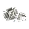 Cilindro 50 Airsal Sport Derbi Variant