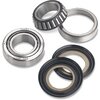 Steering Head Bearings Kawasaki