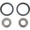 Wheel Bearings + Oils Seals