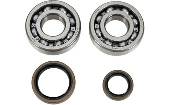 Bearings + Oil Seals crankshaft Moose Racing Suzuki RM 250