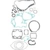 Gasket Set complete with oil seals Moose Racing RM 250 1994-1995
