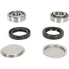 Bearing Kit swingarm