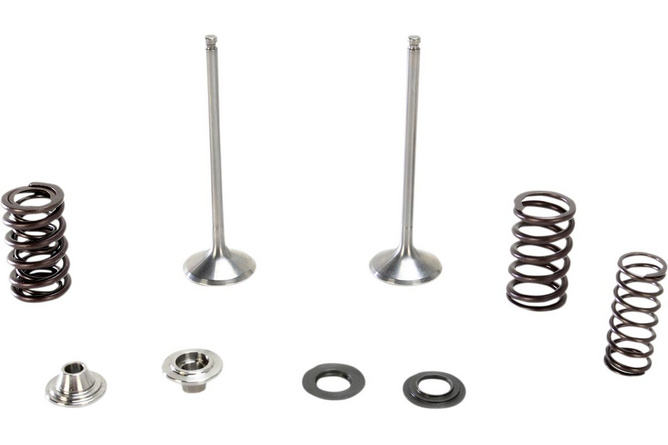 Exhaust Valve Kit stainless steel Moose Racing YZF 250