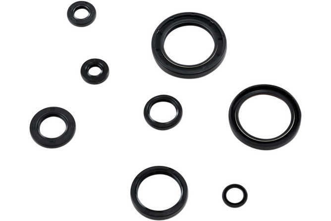 Oil Seal Set complete