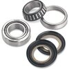 Steering Head Bearings Kawasaki