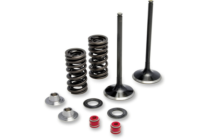 Exhaust Valve Kit stainless steel Moose Racing RM-Z 250