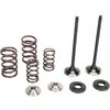 Exhaust Valve Kit stainless steel Moose Racing SX-F 250