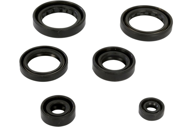 Wellendichtringe Kit komplett