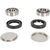 Bearing Kit swingarm