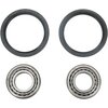 Wheel Bearings + Oils Seals