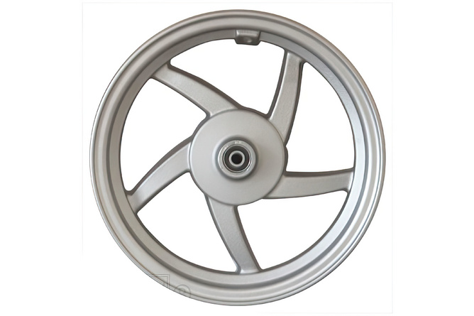 Cerchio anteriore Sym argento