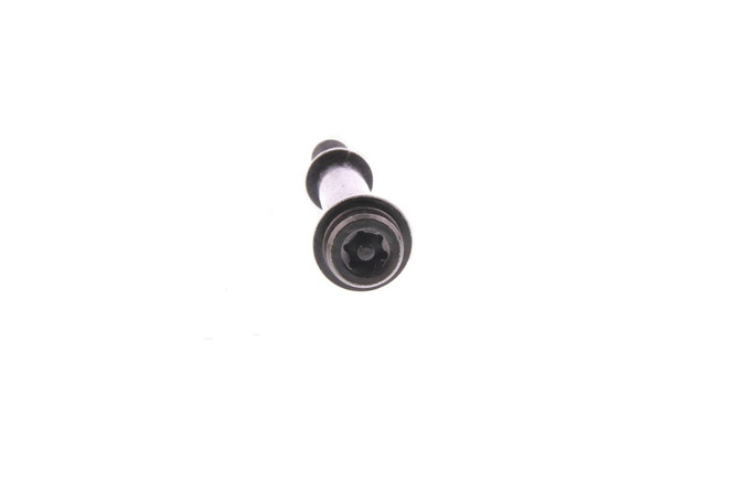 Screw (Torx w. pin) CVT cover Peugeot Kisbee 4T after '18