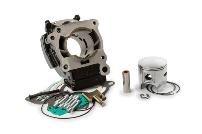 Carbon Membran Passend Für Cagiva Mito 125 / Lawson / W8
