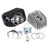 Kit cylindre Polini Racing 65 axe 10mme Piaggio Si