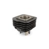 Gruppo Termico Polini 70cc Sport, Ghisa grigia, Honda Dio SP / Dio ZX / Kymco CX 2T AC