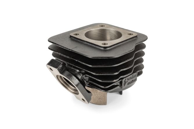 Gruppo Termico Polini 70cc Sport, Ghisa grigia, Honda Dio SP / Dio ZX / Kymco CX 2T AC
