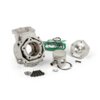 Gruppo Termico Polini, Aprilia RS 125 (Rotax 122 / 123), d=60mm
