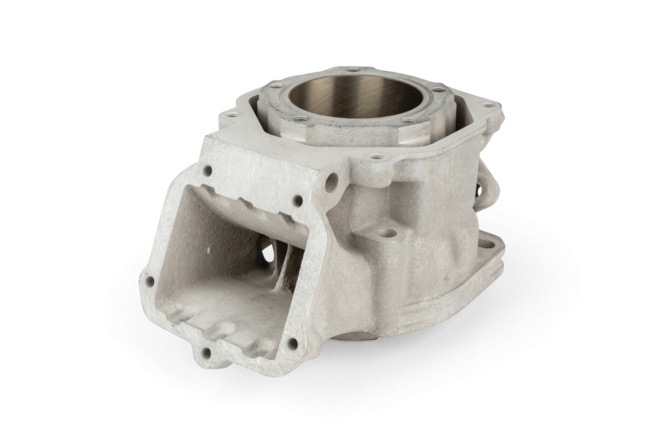 Gruppo Termico Polini, Aprilia RS 125 (Rotax 122 / 123), d=60mm