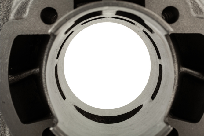 Cylinder Kit 70cc Polini Evolution 12mm Minarelli verticale