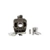 Cylinder Polini 50cc cast iron Peugeot horizontal AC (Ludix / Kisbee / Speedfight 4)