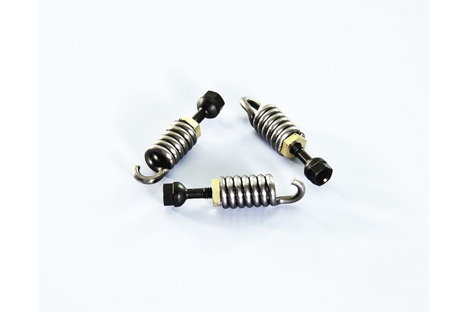 Clutch Springs D.2,4mm / 31,7mm for Maxi Speed Clutch Polini 3G
