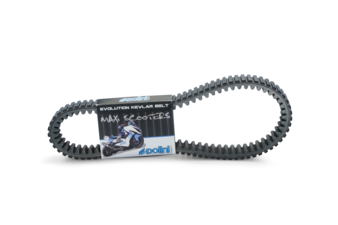 V-belt Polini Maxi Evo Honda SH 350 after 2021