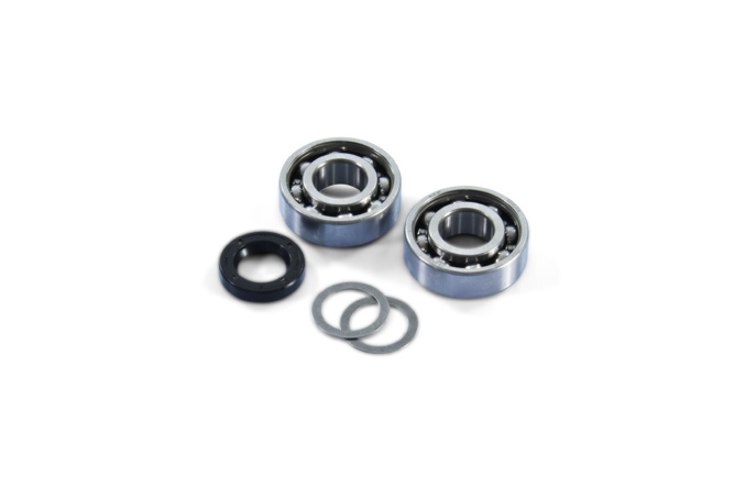 Crankshaft Bearings and Oil Seals Polini Piaggio Ciao