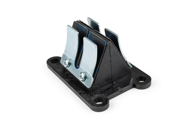 Reed Valve Polini AM6