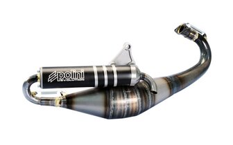 Pot Polini EVO 11 Piaggio Zip