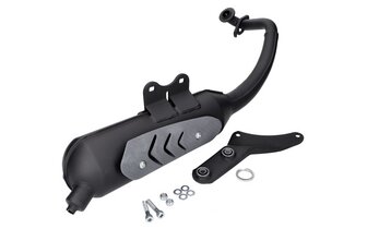 Auspuff Polini Original Peugeot Ludix