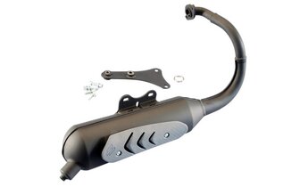 Auspuff Polini Original Peugeot TKR / Vivacity