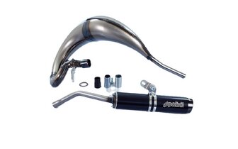 Auspuff Polini For Race 2 Fantic XE ab 2021