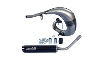 Auspuff Polini For Race 2 Beta RR ab 2021