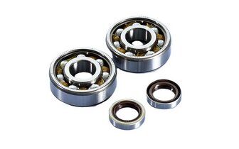 Kit&nbsp;Rodamientos&nbsp;de&nbsp;Cig&uuml;e&ntilde;al&nbsp;Polini&nbsp;Original&nbsp;MBK&nbsp;51