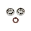 Crankshaft Bearing Set Polini Original Piaggio Ciao