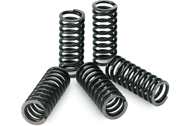 Clutch Springs Pro Circuit KXF 250 before 2020