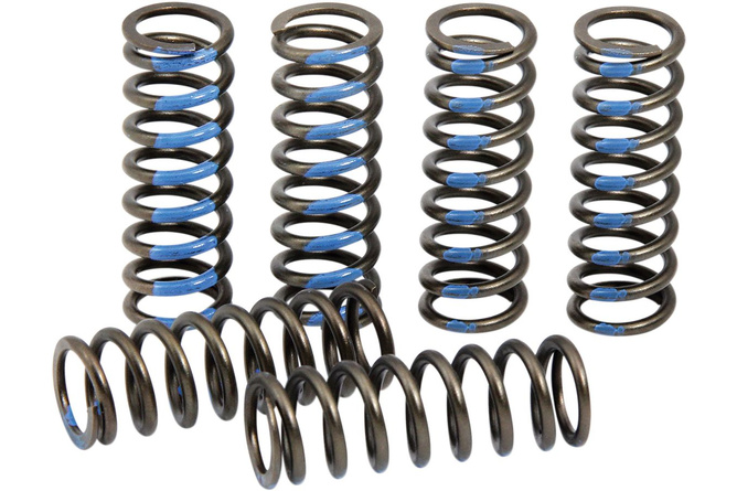 Clutch Springs Pro Circuit YZF 250 after 2019