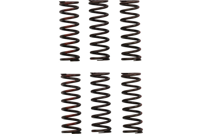 Clutch Springs Pro Circuit CRF 450 after 2021 