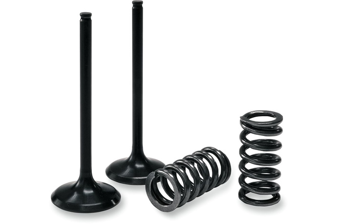 Intake Valve Set Prox w/ springs RM-Z 450 after 2008 