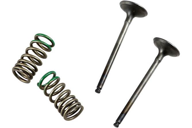 Exhaust Valve Set Prox w/ springs YZF / WRF 250 before 2013 