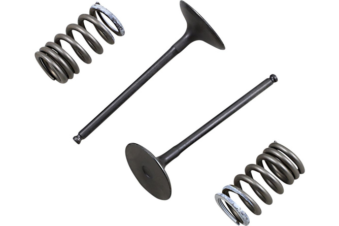 Intake Valve Set Prox w/ springs RM-Z 250 after 2010 