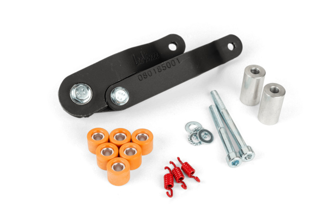 Auspuff LeoVince Handmade TT Aprilia SR50 / DiTech (Piaggio)