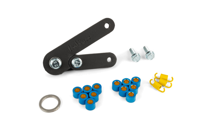 Auspuff LeoVince Handmade TT Black Minarelli stehend