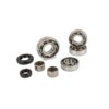 Bearings + Oil Seals gearbox Stage6 HQ Minarelli AM6