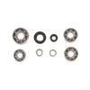 Bearings + Oil Seals gearbox Stage6 HQ Minarelli AM6