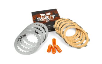 5-Disc Clutch AM6 Stage6 R/T MK2