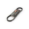 Courroie Stage6 Pro Belt Peugeot Kisbee et Trekker