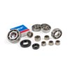 Gearbox Bearings and Seals Stage6 AM6 Euro 5